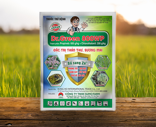 Dr. Green 800WP